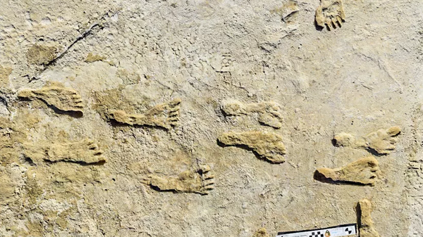 Fossilized Human Footprints Found at White Sands National Park, New Mexico - Sputnik International