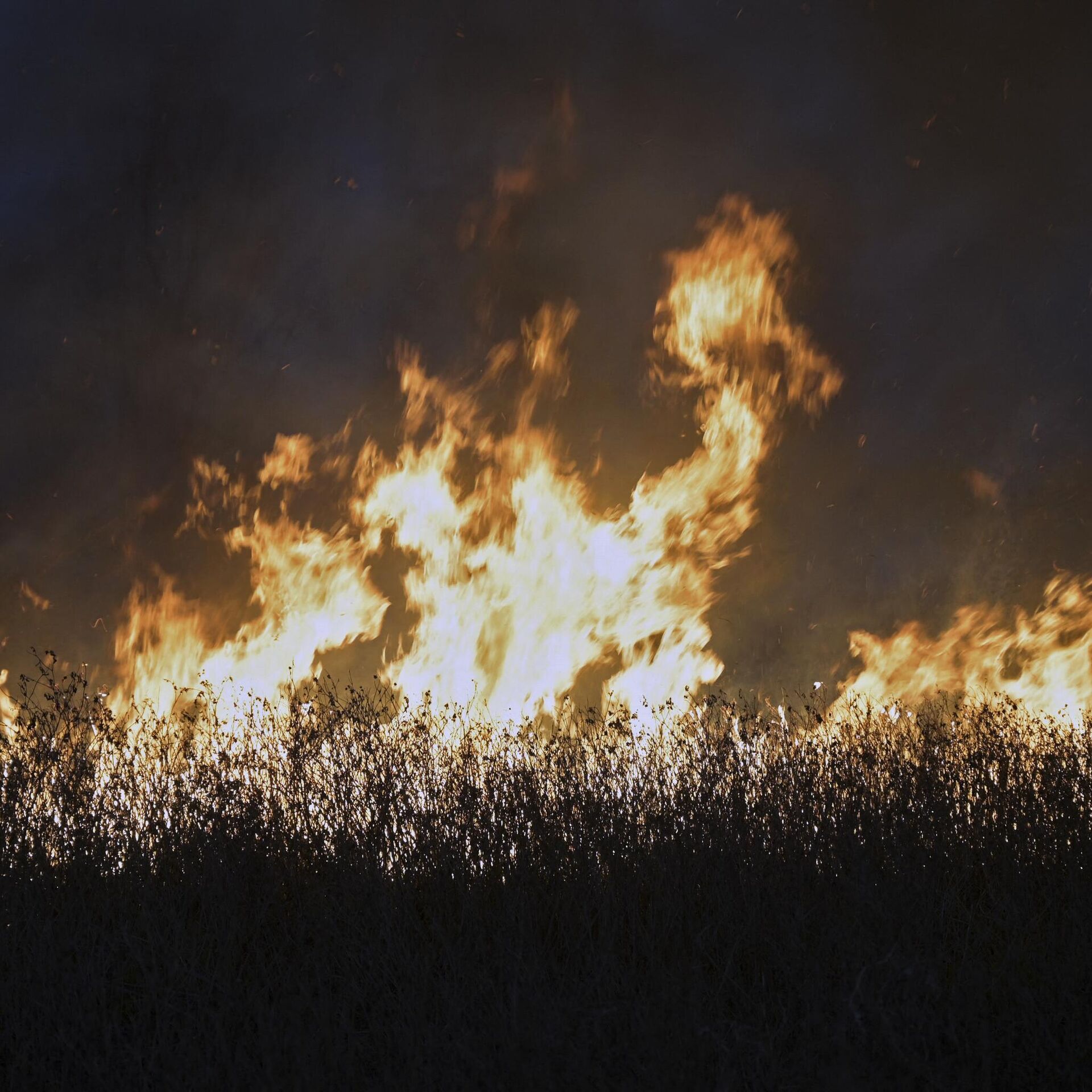 Apocalyptic Scenes Unfold In Argentina S C Rdoba Province As Wildfires Rage   1114120747 512 0 2560 2048 1920x0 80 0 0 F82f51d14babe33ece67109b799bc6e3 