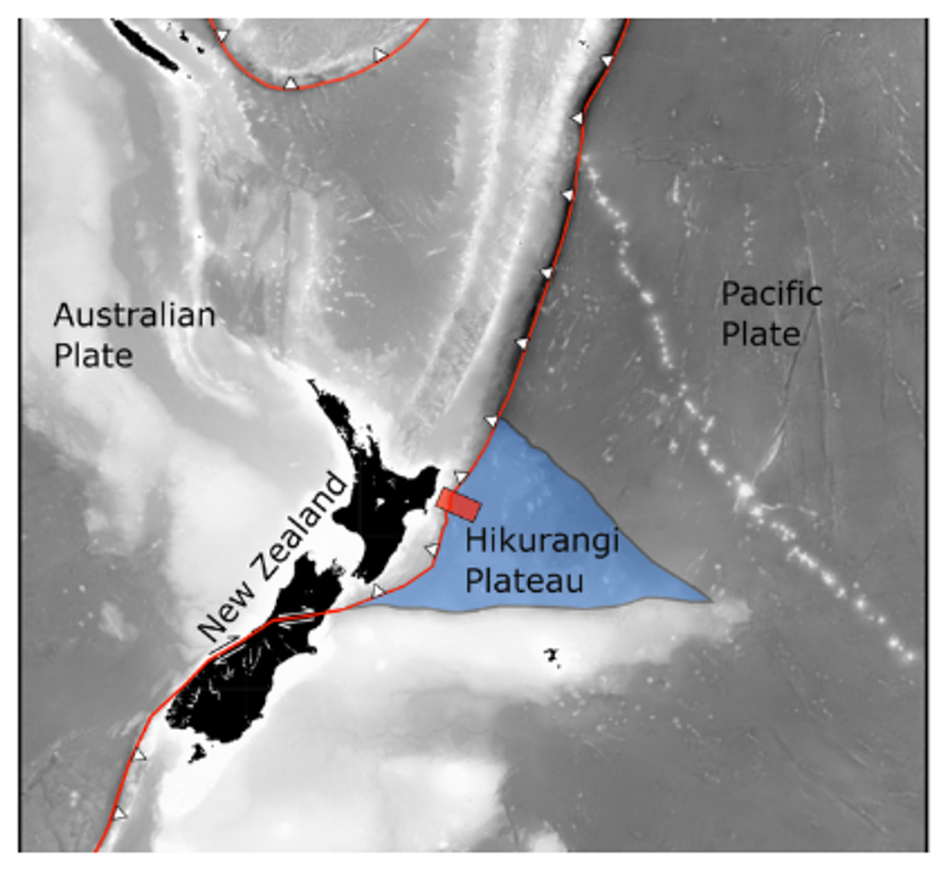 Screenshot of image showing the Hikurangi plateau. - Sputnik International, 1920, 12.10.2023