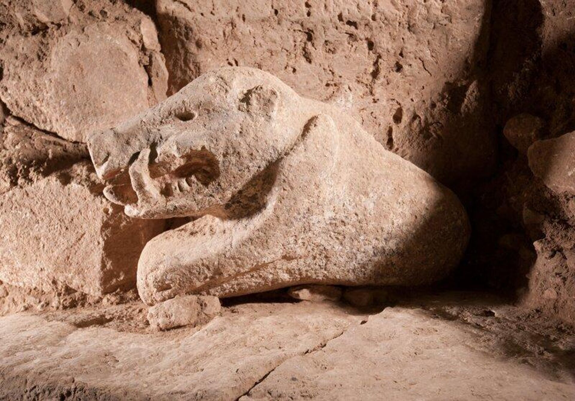 The wild boar statue was found in the northern area of the Göbekli Tepe Special Structure D. - Sputnik International, 1920, 17.10.2023