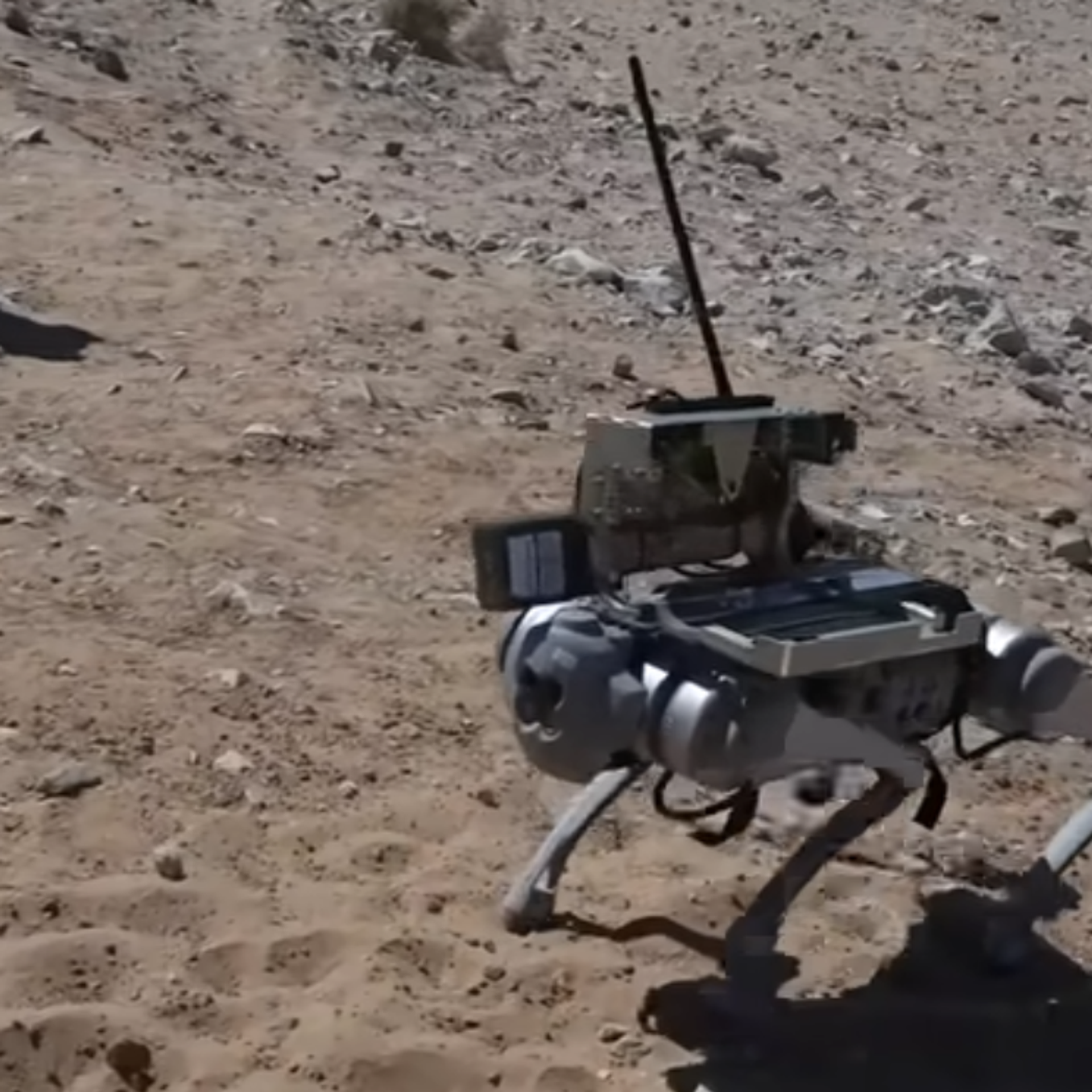 Cani robot per sorvegliare i confini: test negli Stati Uniti 