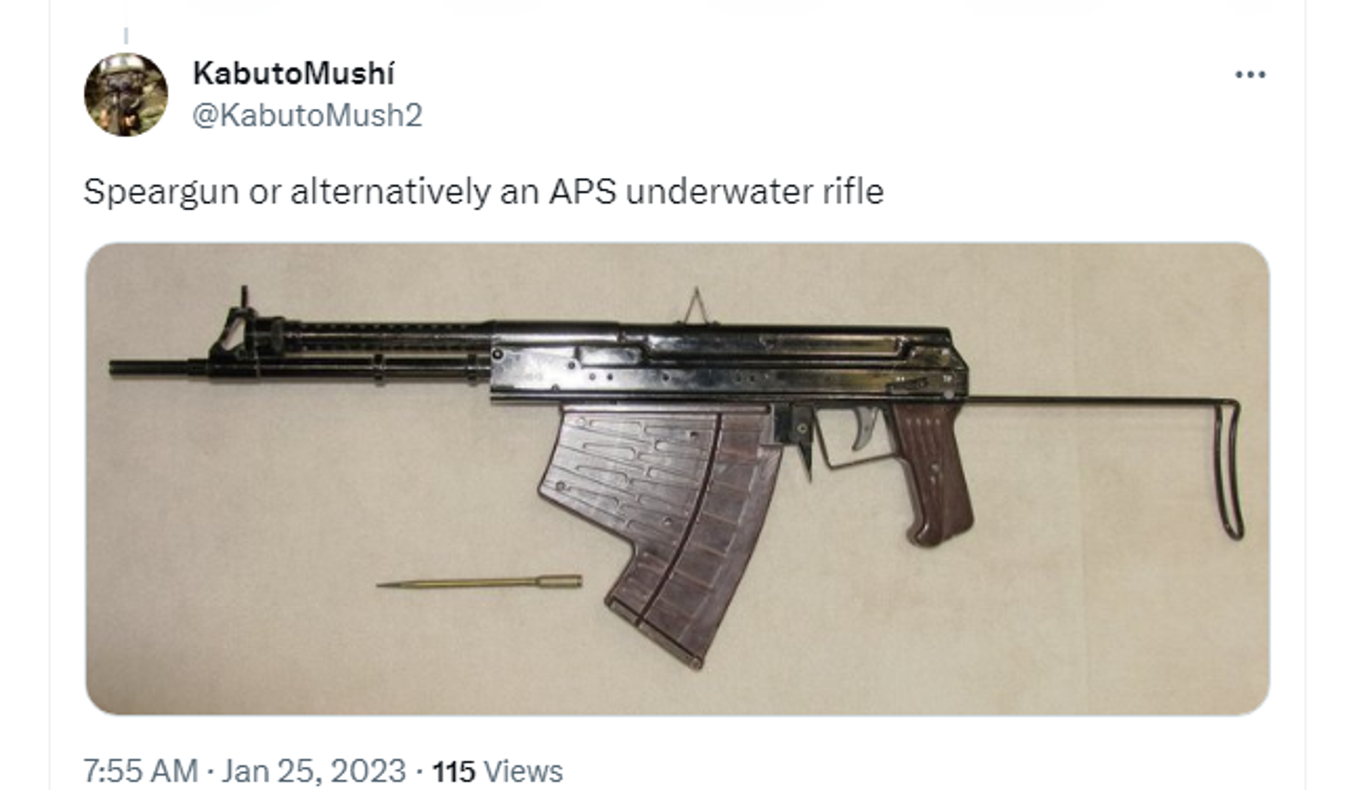 An X ( formerly Twitter) screenshot of the APS rifle. - Sputnik International, 1920, 24.10.2023