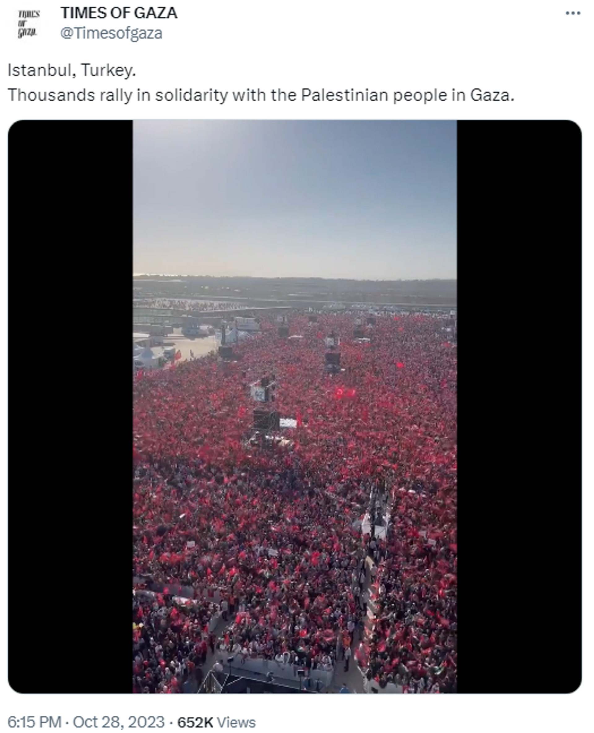 Screenshot of X post showing footage from rally in Istanbul in support of Palestinians. - Sputnik International, 1920, 29.10.2023