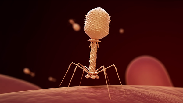 Bacteriophages are a type of virus that hunts bacteria, enabling them to be used in medicine as powerful alternatives to antibiotics - Sputnik International