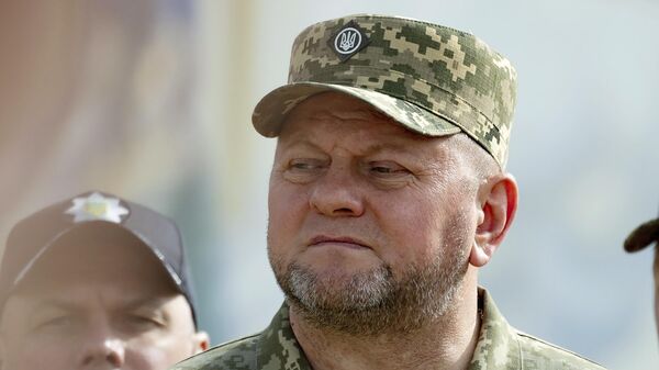 Commander-in-Chief of Ukraine's Armed Forces Valeriy Zaluzhny. File photo - Sputnik International