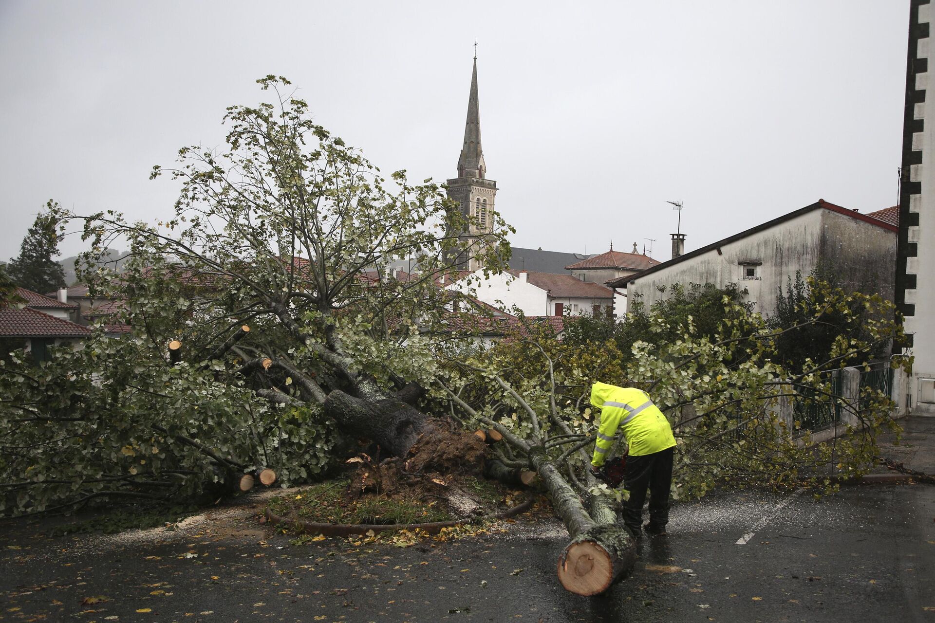 A man saws a tree that fell on a parking lot Thursday, Nov. 2, 2023 in Hasparren, southwestern France. Winds up to 180 kilometers per hour (108 mph) slammed the French Atlantic coast overnight along with violent rains and huge waves, as Storm Ciaran uprooted trees, blew out windows and left 1.2 million households without electricity. - Sputnik International, 1920, 02.11.2023
