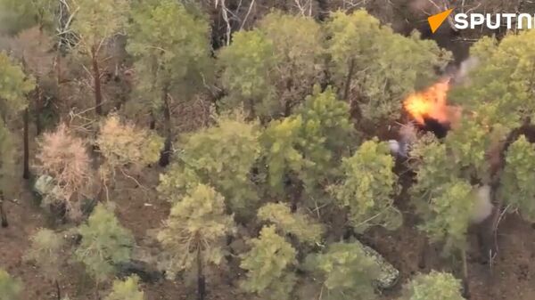 Russian crew from Battlegroup Yug hits Ukrainian positions and armored combat vehicles near Belogorovka - Sputnik International