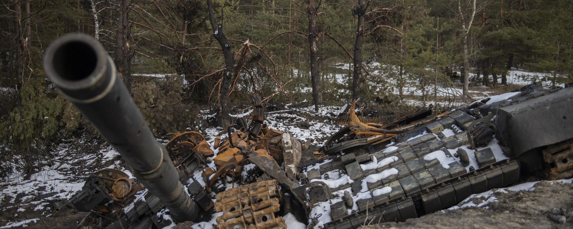 A destroyed Ukrainian tank outside the town of Severodonetsk, in Lugansk People's Republic. - Sputnik International, 1920, 02.12.2023