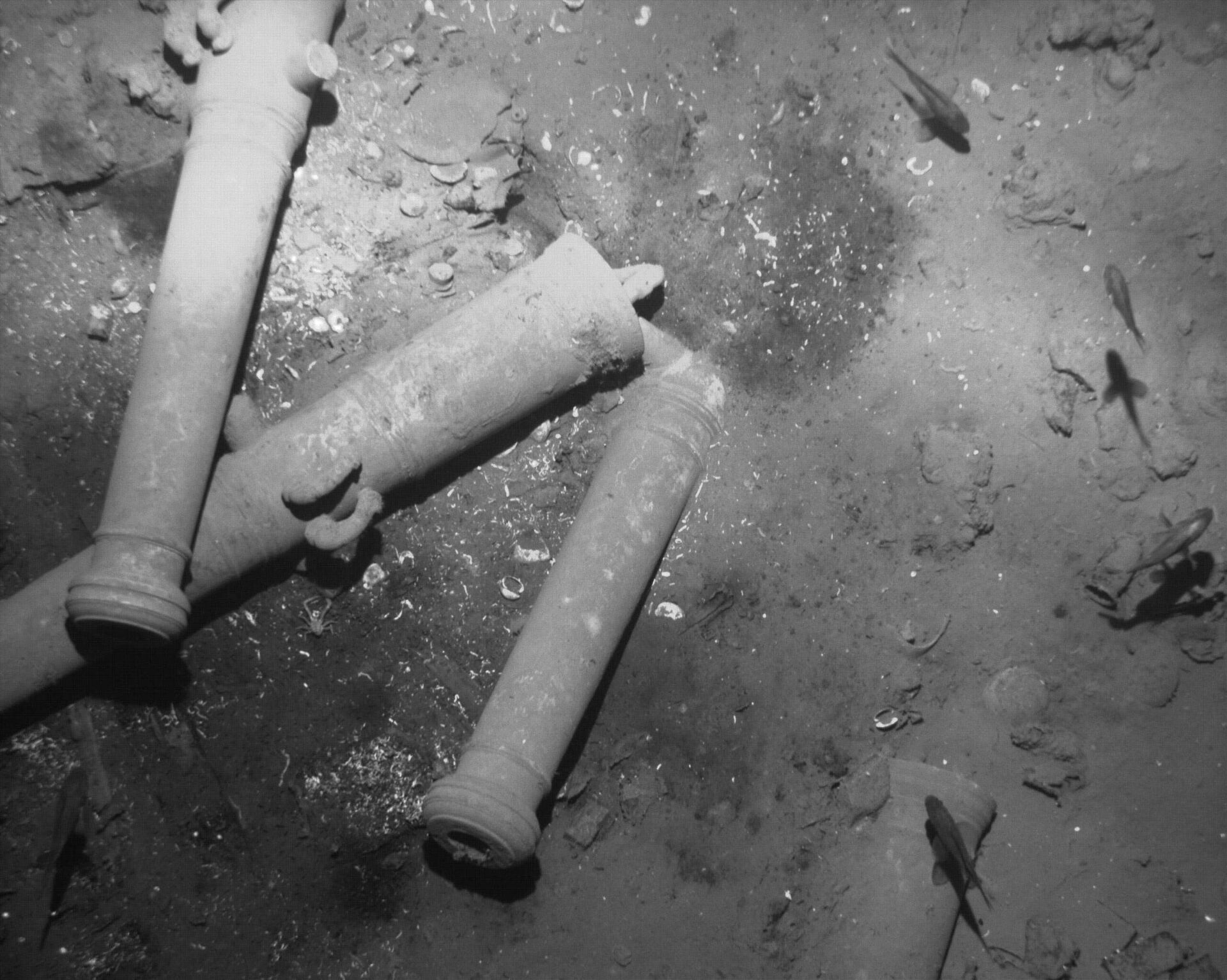 This undated photo taken by Colombia's Anthropology and History Institute (ICANH) and distributed by Colombia's Ministry of Culture, shows sunken remains from the Spanish galleon San Jose, on the sea floor off Cartagena, Colombia - Sputnik International, 1920, 06.11.2023