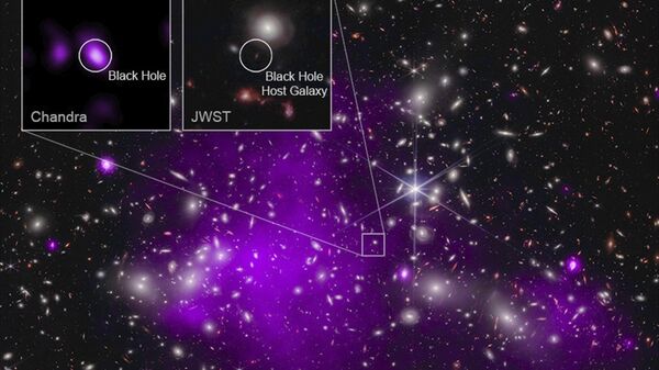 This annotated image provided by NASA on Monday, Nov. 6, 2023, shows a composite view of data from NASA’s Chandra X-ray Observatory and James Webb Space Telescope indicating a growing black hole just 470 million years after the big bang. It is the oldest black hole yet discovered.  - Sputnik International