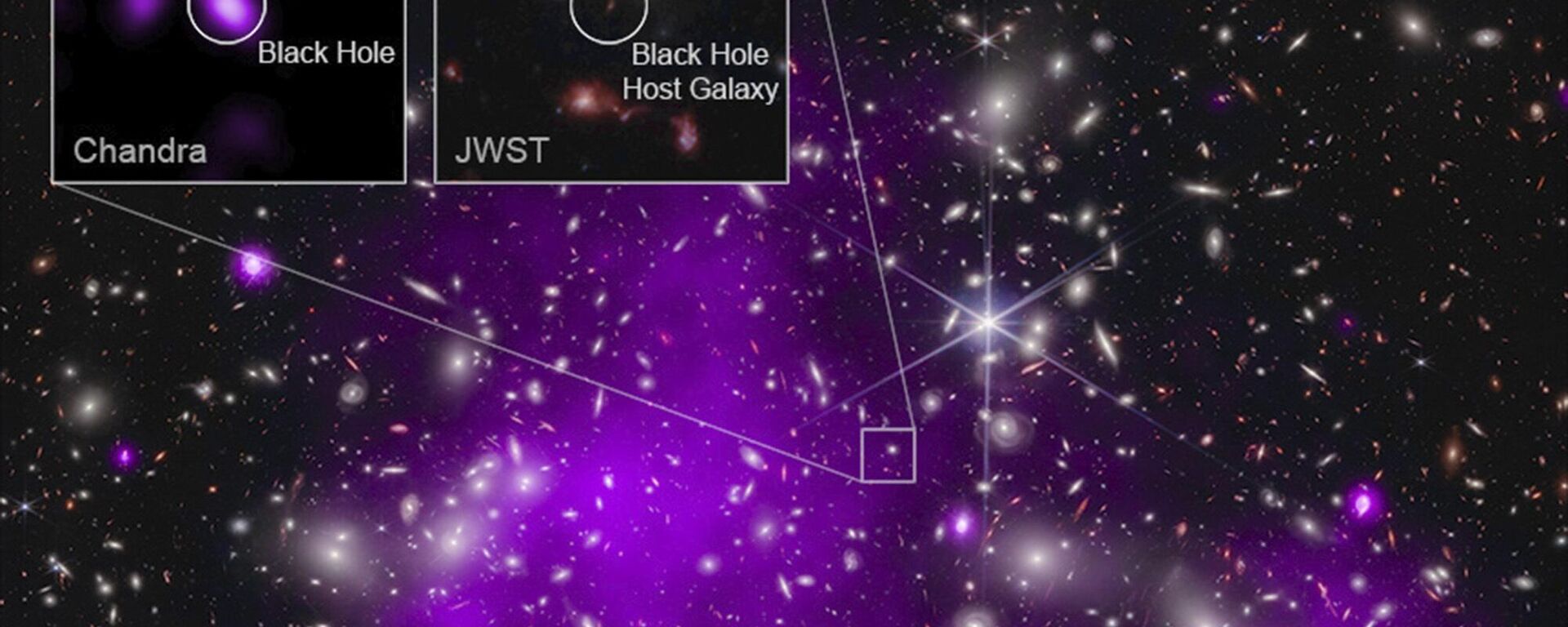 This annotated image provided by NASA on Monday, Nov. 6, 2023, shows a composite view of data from NASA’s Chandra X-ray Observatory and James Webb Space Telescope indicating a growing black hole just 470 million years after the big bang. It is the oldest black hole yet discovered.  - Sputnik International, 1920, 06.11.2023