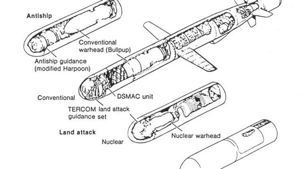 Tomahawk cruise missile variants. - Sputnik International