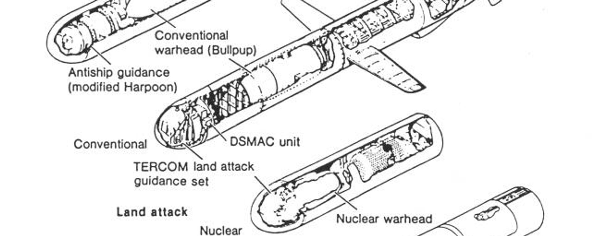Tomahawk cruise missile variants. - Sputnik International, 1920, 07.11.2023