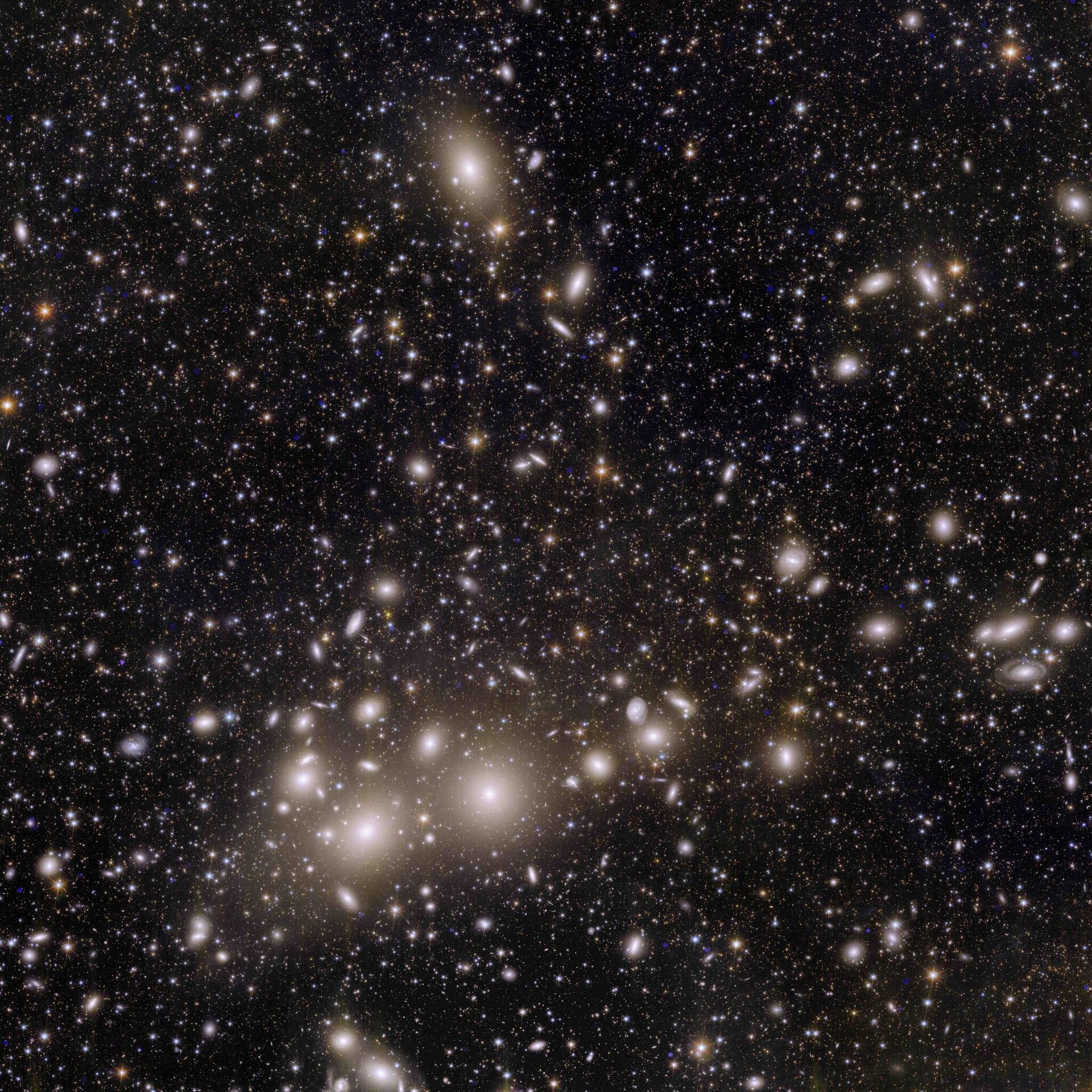 This incredible snapshot from Euclid is a revolution for astronomy. The image shows 1000 galaxies belonging to the Perseus Cluster, and more than 100 000 additional galaxies further away in the background, each containing up to hundreds of billions of stars. - Sputnik International, 1920, 07.11.2023