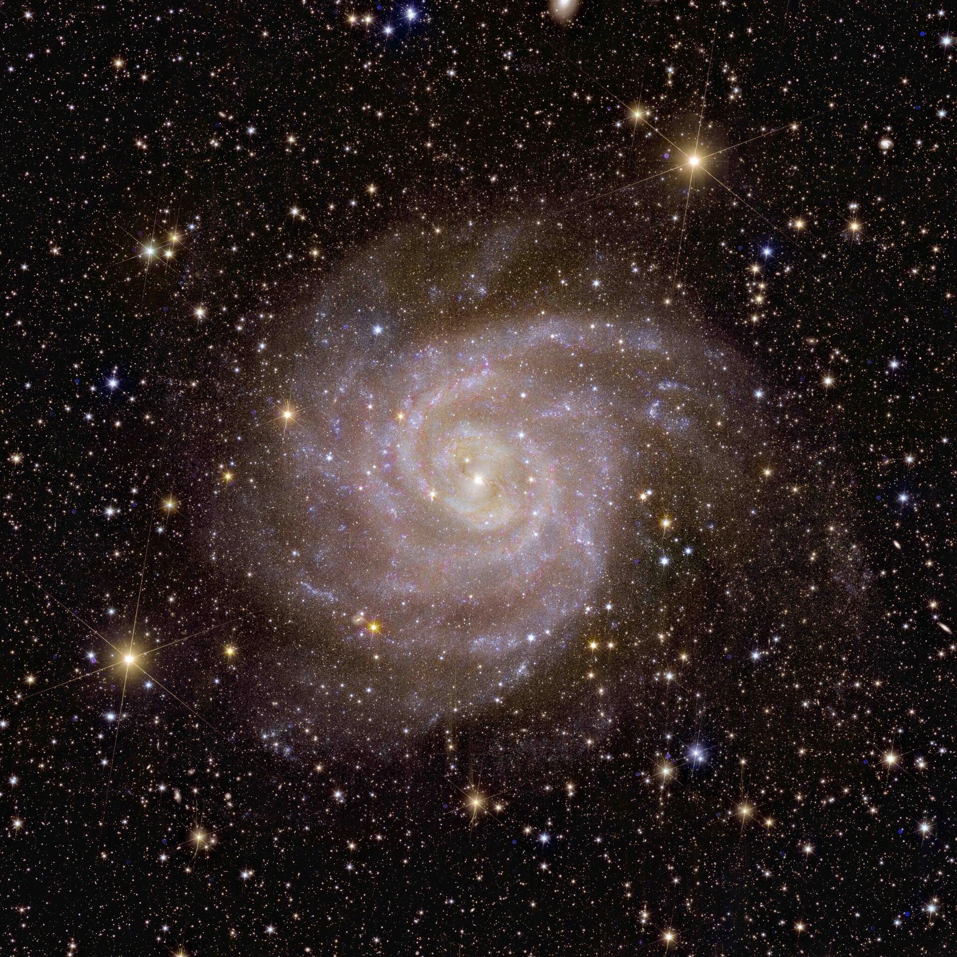 Over its lifetime, our dark Universe detective will image billions of galaxies, revealing the hidden influence that dark matter and dark energy have on them.

That’s why it’s fitting that one of the first galaxies that Euclid observed is nicknamed the ‘Hidden Galaxy’. This galaxy, also known as IC 342 or Caldwell 5, is difficult to observe because it lies behind the busy disc of our Milky Way, and so dust, gas and stars obscure our view. - Sputnik International, 1920, 07.11.2023