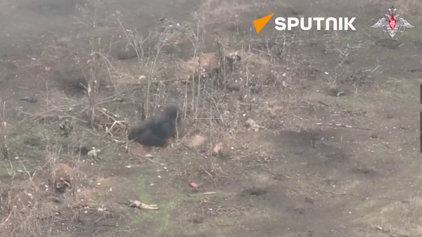 Watch Russian Forces Secure Ukrainian Positions in Rabotino Area - Sputnik International