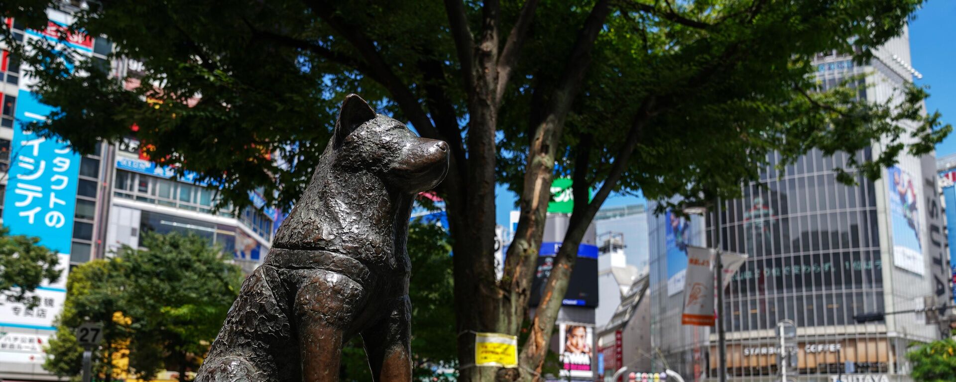 The Hachiko dog monument is pictured in Tokyo, Japan. - Sputnik International, 1920, 11.11.2023