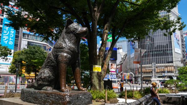 The Hachiko dog monument is pictured in Tokyo, Japan. - Sputnik International