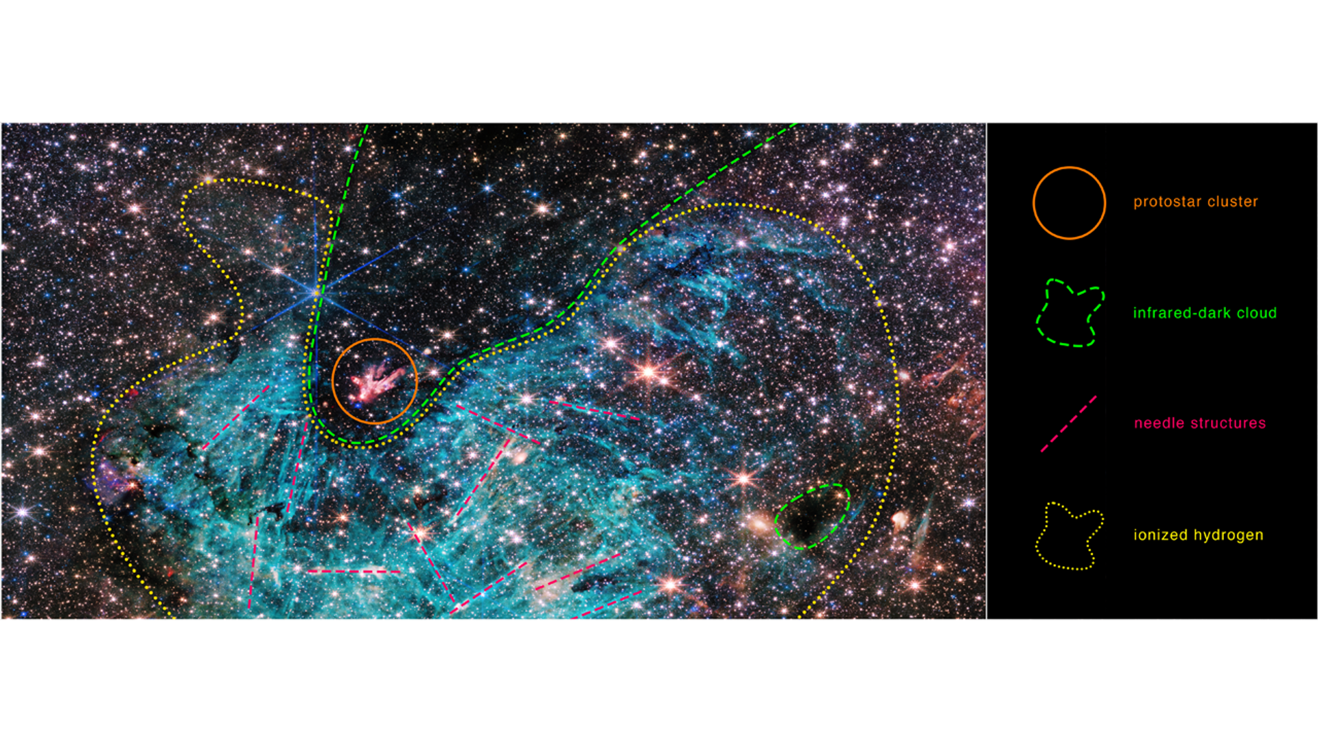 In the image of space, the yellow dotted line forms a fat U shape, surrounding a cyan-colored area that is much wider on its right-hand side. Within this area, straight red dotted lines indicate structures within the ionized hydrogen, oriented chaotically in multiple directions. Fitting into the curve of the U shaped ionized hydrogen region, the dashed-line of green indicates the shape of the infrared-dark cloud. At the base of the U curve the orange circle surrounds a red and white protostar cluster appearing to spray upward and to its left. To the right of the ionized hydrogen region, a small dark area is surrounded by a dashed-green line, highlighting another infrared-dark cloud. - Sputnik International, 1920, 21.11.2023