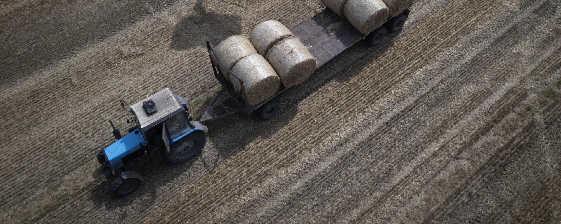 A tractor collects straw on a field in a private farm in Zhurivka, Kyiv region, Ukraine, Thursday, Aug. 10, 2023. - Sputnik International, 1920, 23.11.2023