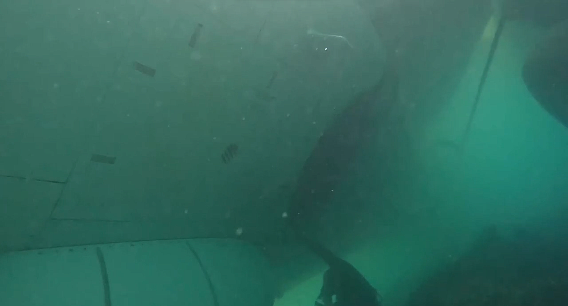 A still from underwater footage of a crashed P-8A Poseidon maritime patrol aircraft in shallow water off the coast of Hawaii. The aircraft overshot the runway during a November 20, 2023, landing in bad weather, and the Navy has begun a salvage operation to retrieve the airliner-sized jet. - Sputnik International, 1920, 01.12.2023