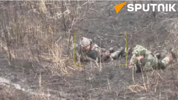 Russian airborne assault troops hammer Ukrainian army  - Sputnik International