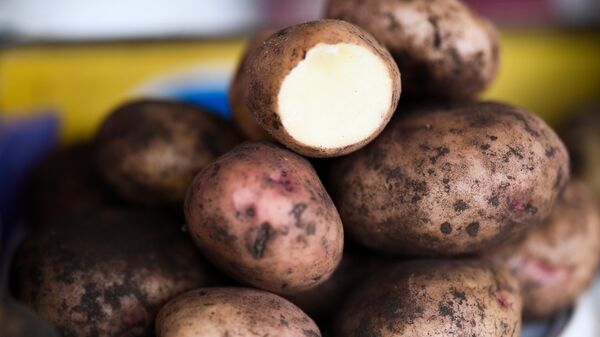 Potatoes are seen at the Preobrazhensky market in Moscow, Russia. - Sputnik International
