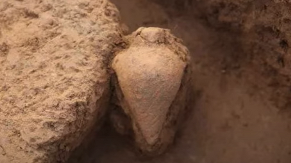Screenshot of a rare 7,000-year-old bottle found in a tomb in the Peiligang site in Central China's Henan Province.  - Sputnik International