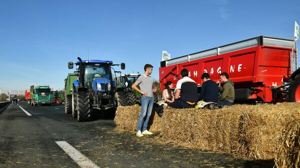 Farmers block A63 highway to protest over taxation and declining income, near Bayonne. - Sputnik International