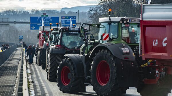 French farmers block the Hubert Touya viaduct on a highway in Bayonne, southwestern France.  - Sputnik International
