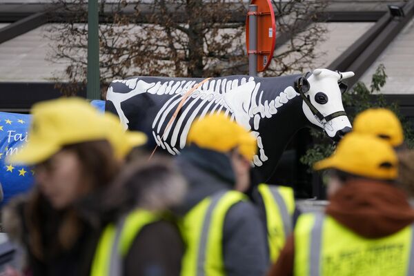 French and Belgian farmers protest outside the European Parliament in Brussels, displaying a life-sized plastic cow painted in the form of a skeleton. - Sputnik International