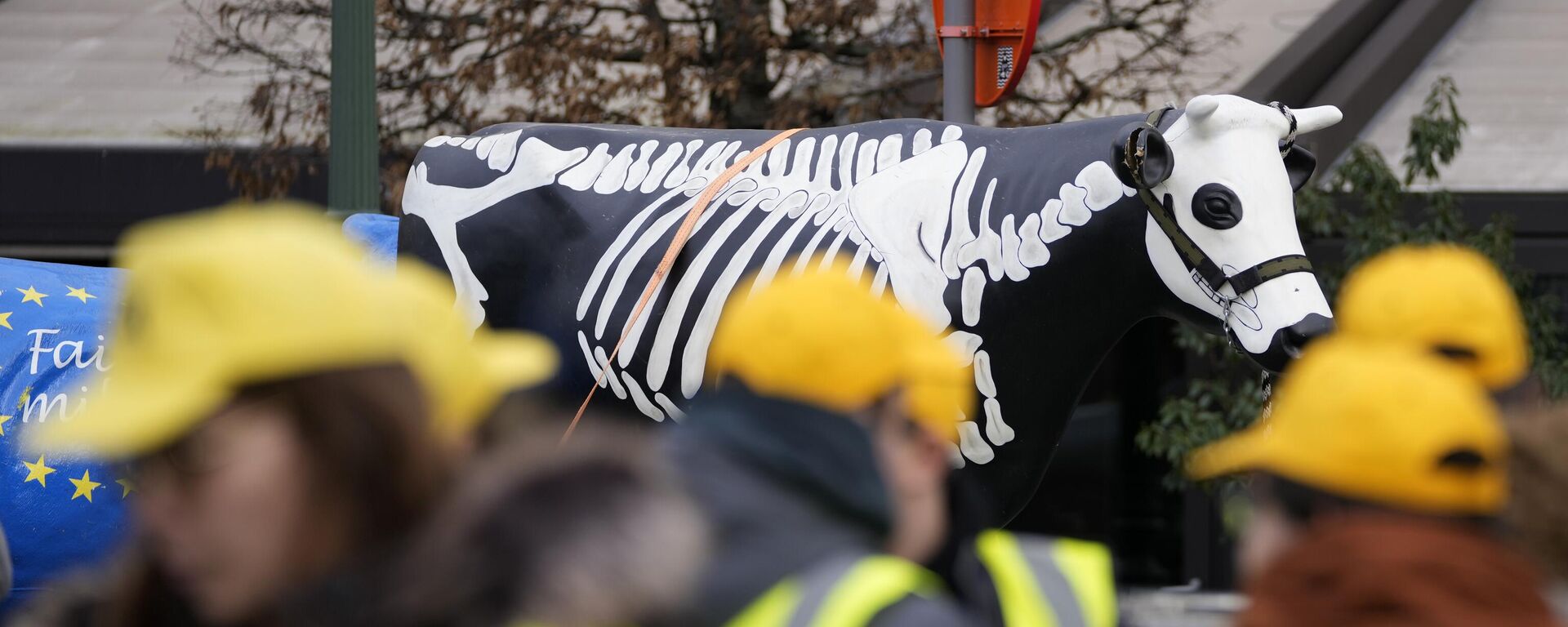 French and Belgian farmers stand in front of a plastic cow with a skeleton painted on it during a demonstration outside the European Parliament in Brussels. - Sputnik International, 1920, 31.01.2024
