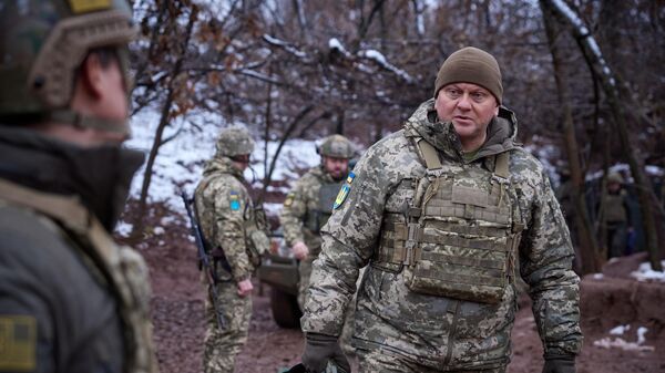 Ukrainian Armed Forces Commander-in-Chief General Valery Zaluzhny  - Sputnik International