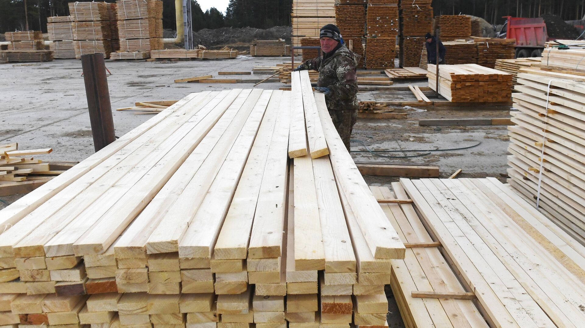 A worker lays lumber at the industrial site of LLC Center of Siberia in the taiga near the village of Razdolnoye in Bolshemurtinsky district, Krasnoyarsk region.  - Sputnik International, 1920, 02.02.2024