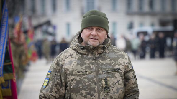 Commander-in-Chief of Ukraine Valery Zaluzhny - Sputnik International