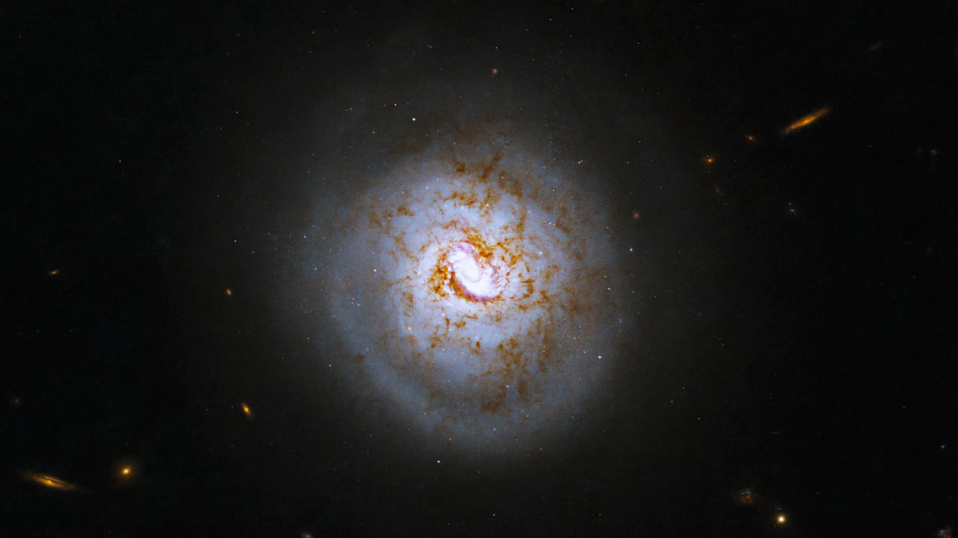 Hubble Captures an Image of Spiral Galaxy ESO 420-G013