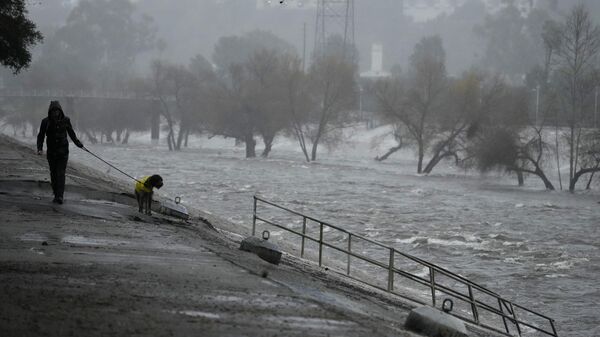 A man walks his dog on the edge of the Los Angeles River, carrying stormwater downstream Sunday, Feb. 4, 2024, in Los Angeles. The second of back-to-back atmospheric rivers battered California, flooding roadways and knocking out power to hundreds of thousands and prompting a rare warning for hurricane-force winds as the state braced for what could be days of heavy rains.   - Sputnik International