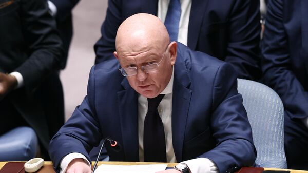 Russia's Permanent Representative to the UN Vasily Nebenzya said during a United Nations Security Council meeting, New York - Sputnik International