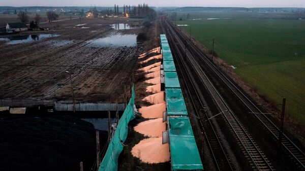 Ukrainian corn spilled from the train in the Polish village of Kotomierz - Sputnik International