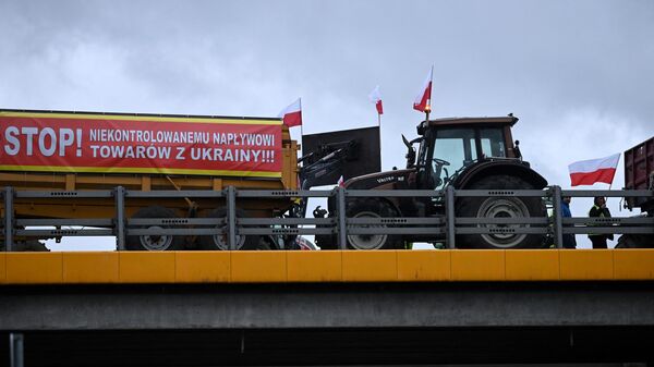 Протесты польских фермеров против неконтролируемого ввоза украинской продукции в регионе Lublin - Sputnik International