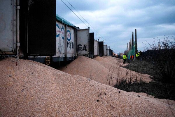 Police, customs officers, and railway workers stand next to piles of imported corn spilled all over the ground in the village of Kotomierz (Kuyavian-Pomeranian region), Poland. - Sputnik International