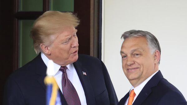 President Donald Trump welcomes Hungarian Prime Minister Viktor Orban to the White House in Washington, on May 13, 2019 - Sputnik International