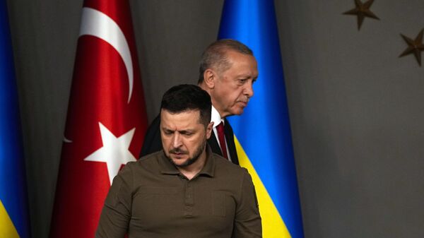 Turkiye's President Recep Tayyip Erdogan, rear, and Ukraine's President Volodymyr Zelensky arrive for a joint news conference following their meeting in Istanbul, Turkiye, early Saturday, July 8, 2023 - Sputnik International