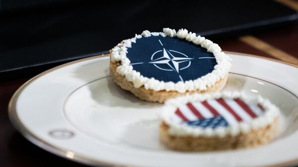 NATO and American flag cookies at a meeting between Defense Secretary Lloyd Austin and NATO Secretary General Jens Stoltenberg at the Pentagon in Washington, DC, on January 29, 2024.  - Sputnik International