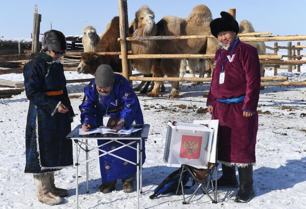 Head of a herding camp receives her ballot in Kat Ishti in Tuva, near the Mongolian border. - Sputnik International