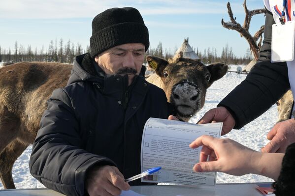 A Yamal resident votes in the presidential election at a reindeer herding camp in the Priuralsky district (Yamalo-Nenets autonomous region). - Sputnik International
