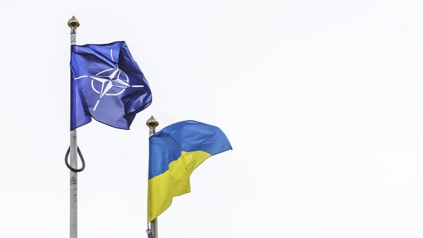 Flag of NATO, North Atlantic Treaty Organization and Ukraine waving together in the white sky, copy space - Sputnik International