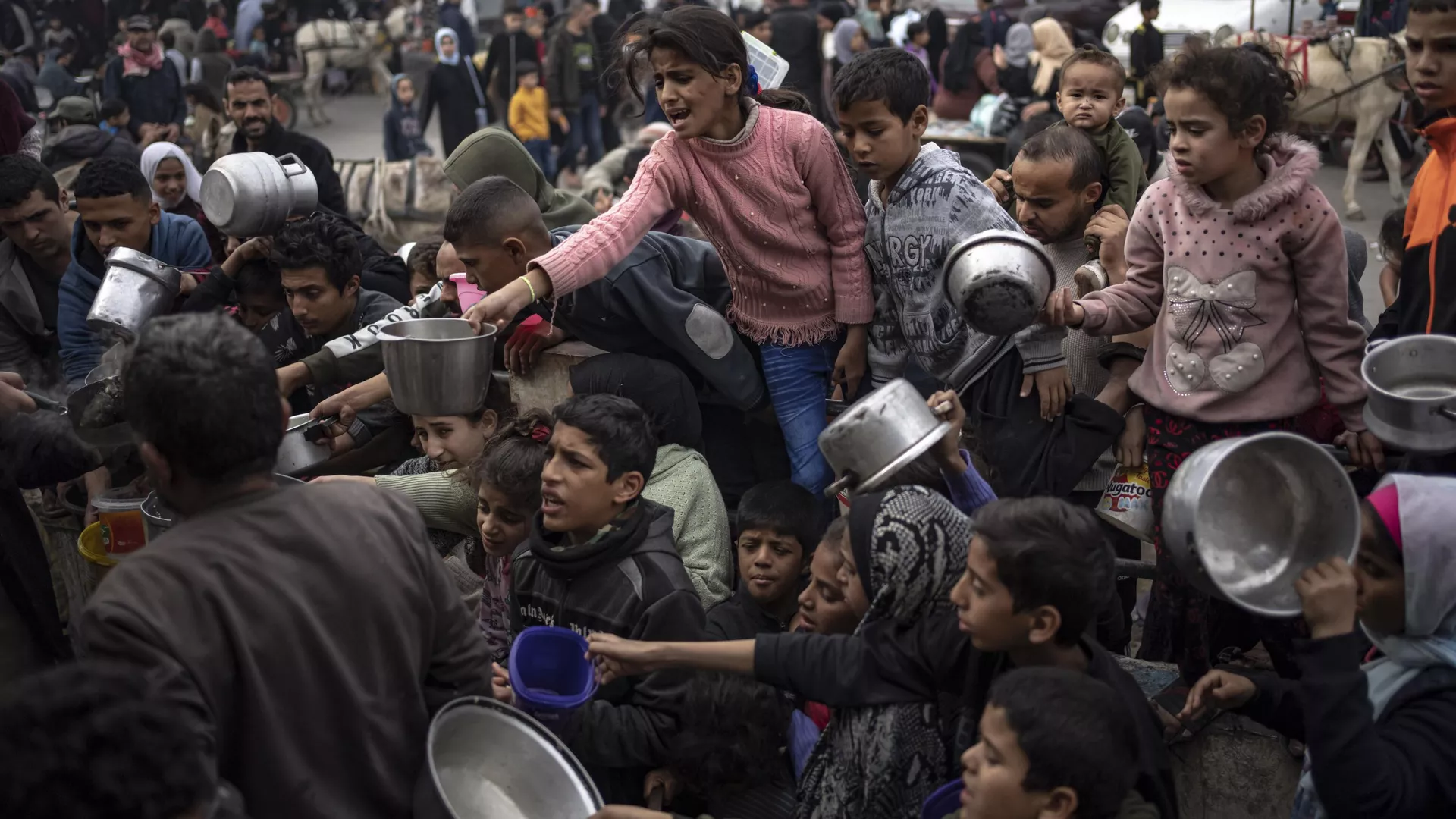 WHO reports death of over 50 children from hunger in Gaza Strip