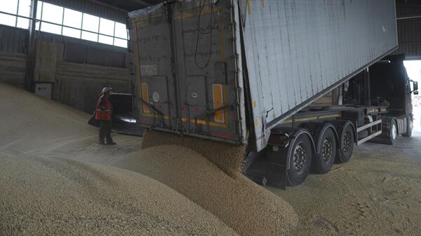 A truck unloads grain at a grain port in Izmail, Ukraine, Wednesday, April 26, 2023. U.S. and European officials have toured Ukraine's southern port of Izmail, a facility that is important in bringing Ukrainian grain exports to the world - Sputnik International