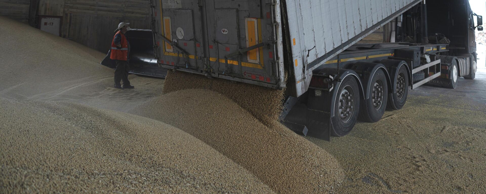 A truck unloads grain at a grain port in Izmail, Ukraine, Wednesday, April 26, 2023. U.S. and European officials have toured Ukraine's southern port of Izmail, a facility that is important in bringing Ukrainian grain exports to the world - Sputnik International, 1920, 27.03.2024